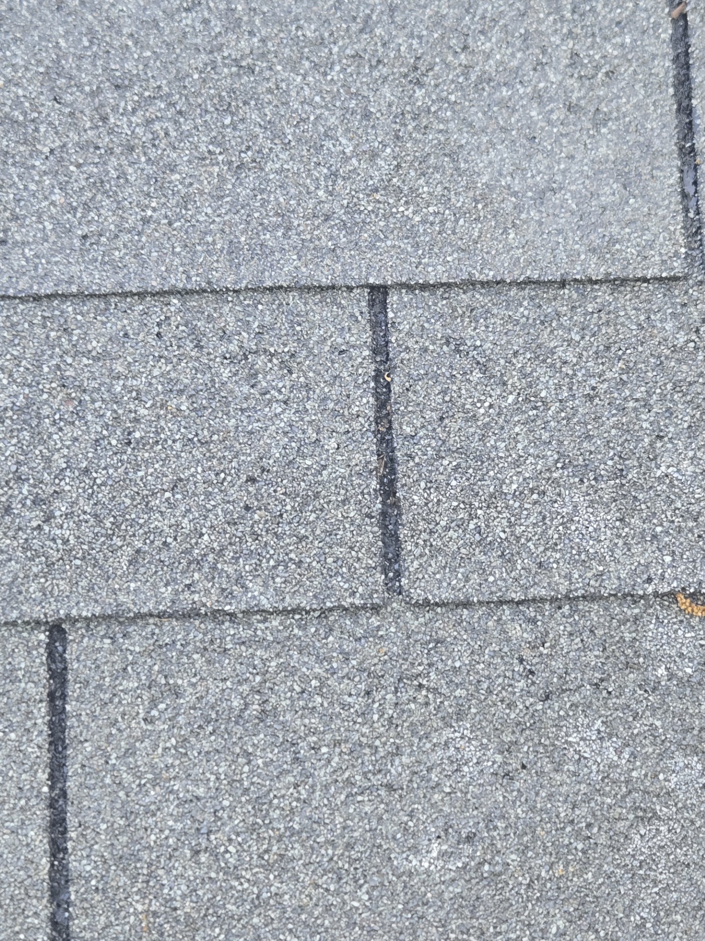 Same shingles after Hi-Tech Roof Solutions — ceramic granules fully restored, uniform dense coverage, looks brand new